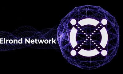 Elrond Network