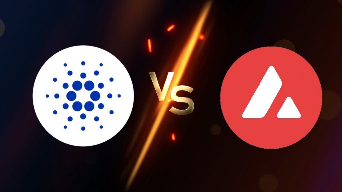 Cardano Vs Avalanche What s The Difference Securities io