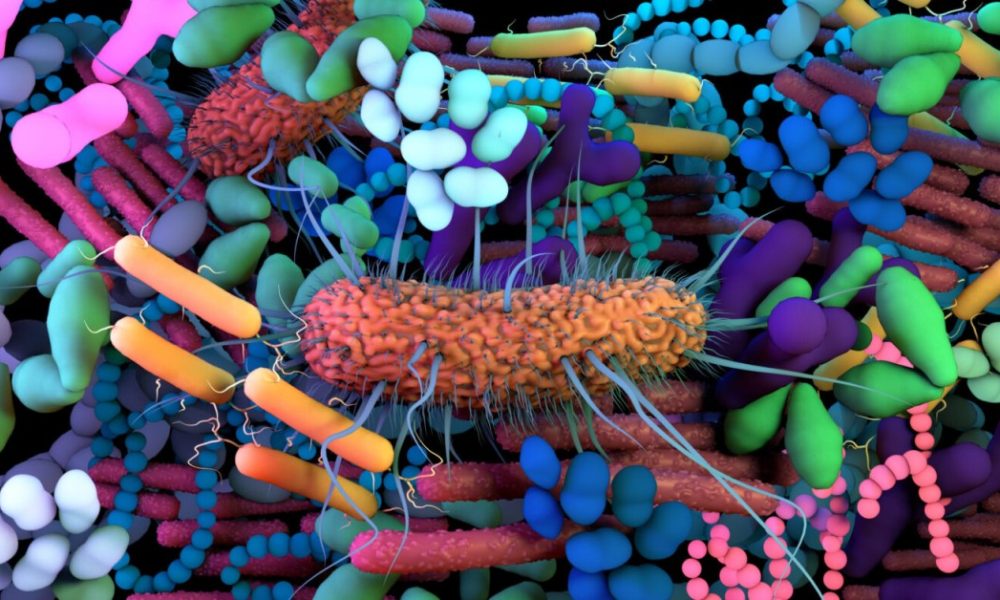 5 Best Microbiome Companies (October 2025) — Securities.io