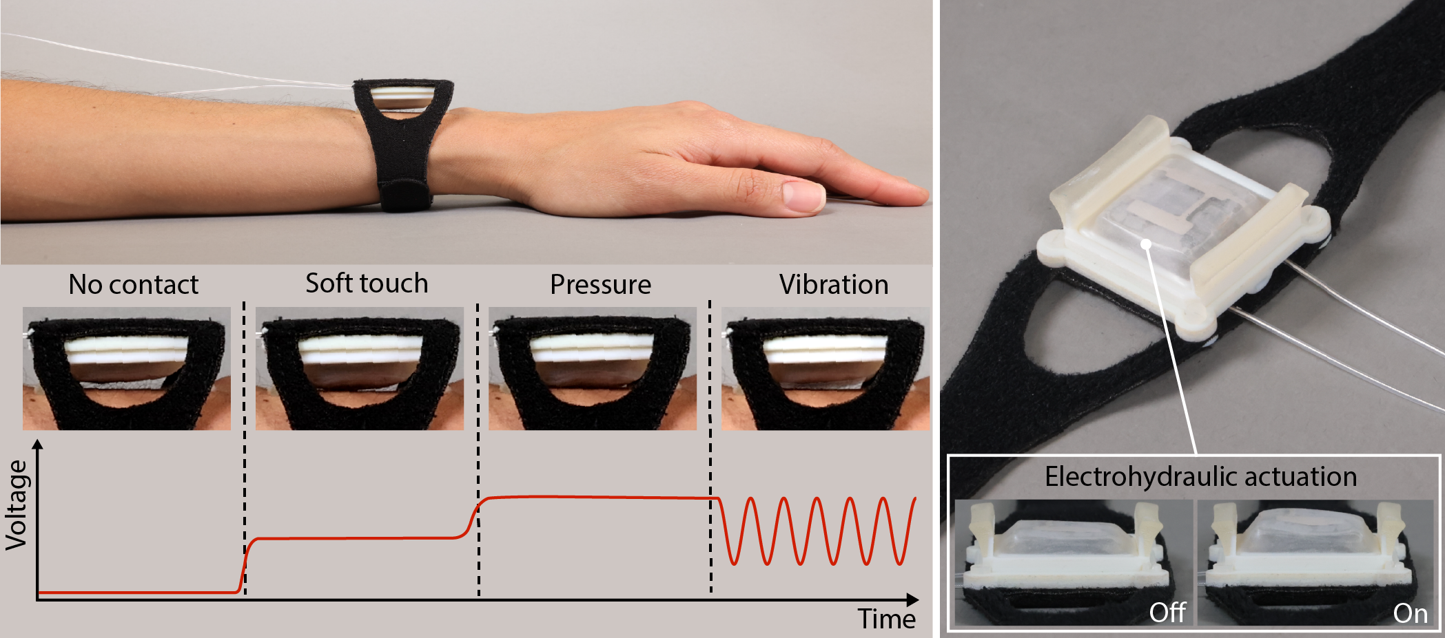 Source - Advanced Science