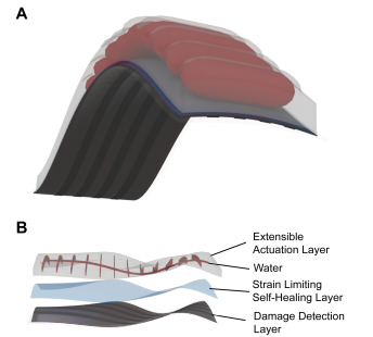 Diagram of a self-healing soft robot actuator developed by University of Nebraska–Lincoln researchers, showing layered architecture used for autonomous damage detection and repair.