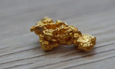 Marathon Fusion đã khám phá ra phép màu Midas Touch chưa?