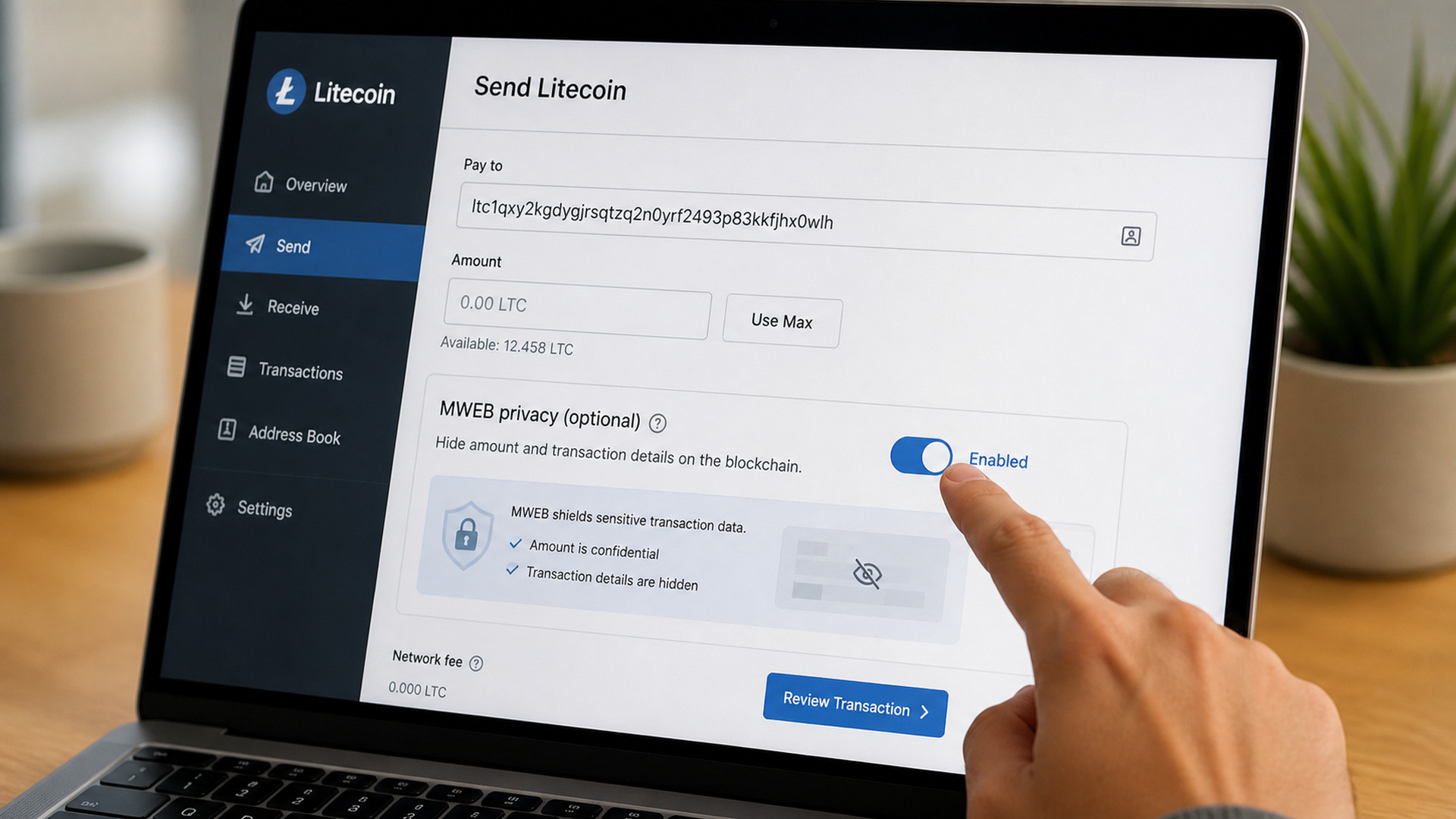 Editorial image for Litecoin Unveils MimbleWimble Extension to Focus on Privacy