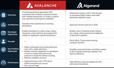 Editorial image for Avalanche Vs. Algorand – What’s the Difference?