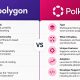 Editorial image for Polygon Vs. Polkadot – What’s the Difference?