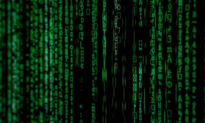 Digital Innovation Is Reshaping Jobs, Not Eliminating Them