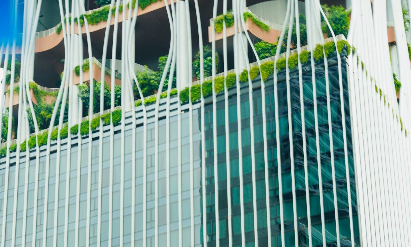 FinTech Is Only as Green as the Rules Governing It — GLOBAL — Aslikannih