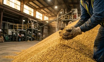 StoneX Buys Advanced Marketing Group to Grow Feed Trade