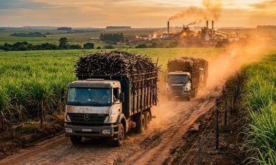 Bunge Agrees to Sell Two Brazilian Sugarcane Mills to COFCO International