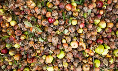 The Technologies Turning Food Waste Into an Opportunity