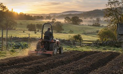 Massey Ferguson Enters ITL Supply Partnership for Compact Tractors