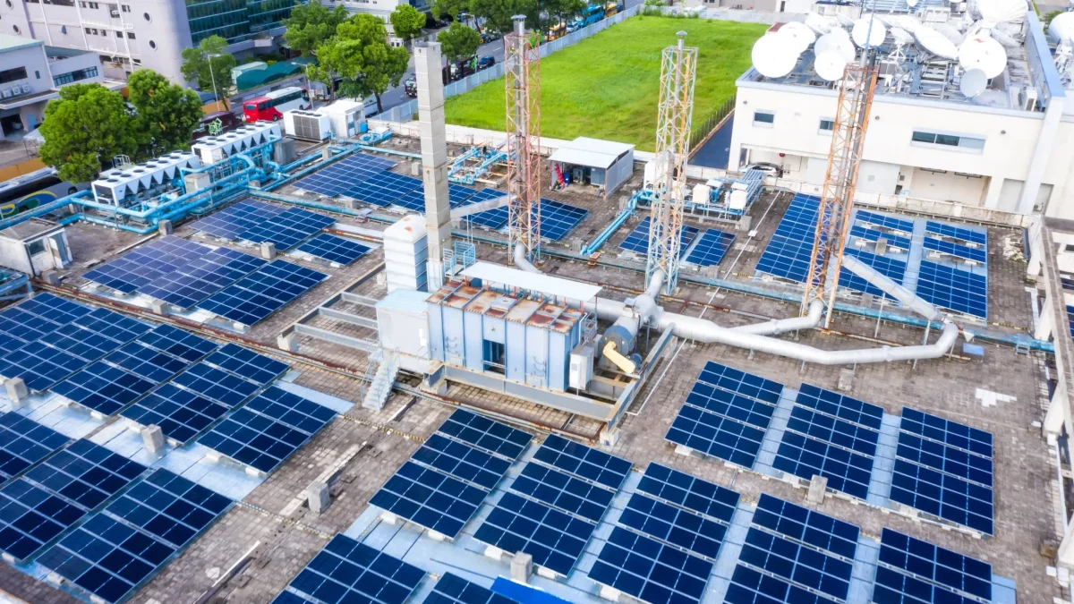 Why Energy Taxes Alone Cannot Drive Renewable Adoption