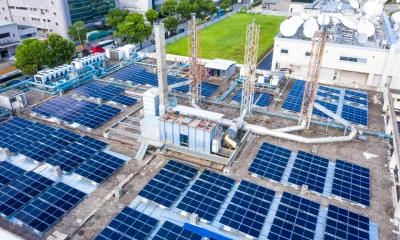 Why Energy Taxes Alone Cannot Drive Renewable Adoption