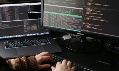 The Human Factor Behind Fintech Productivity